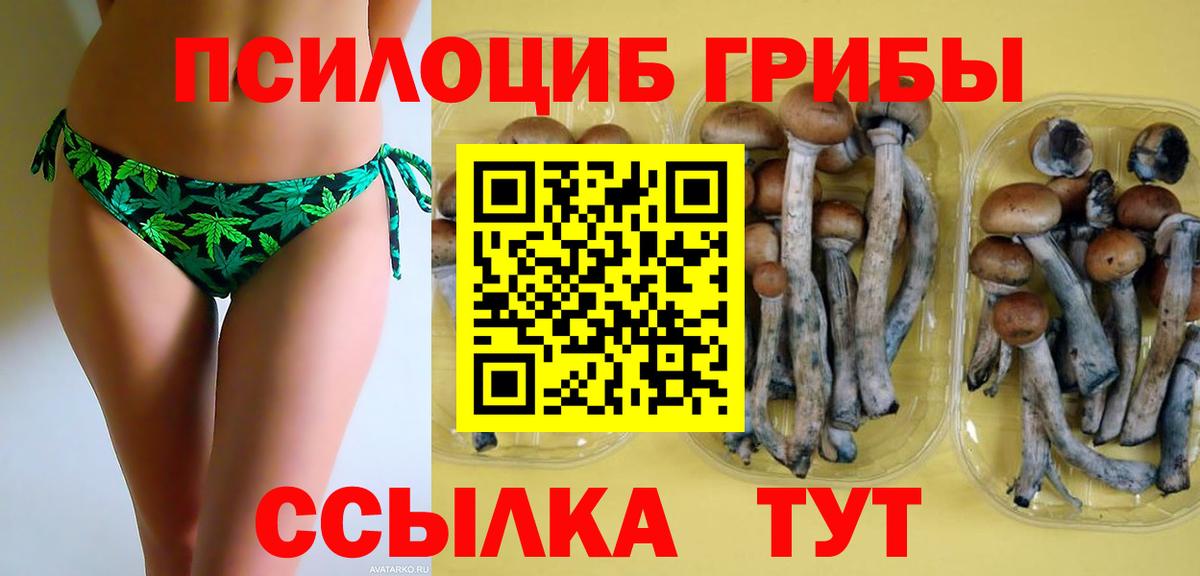 Псилоцибиновые грибы мицелий Нарьян-Мар