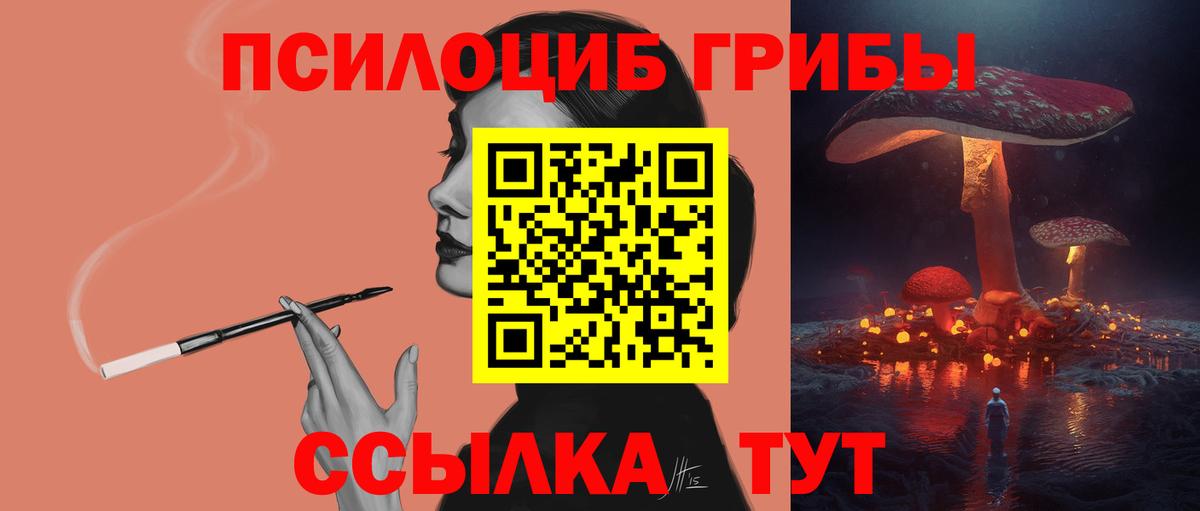Нарьян-Мар  Псилоцибиновые грибы мухоморы  Вход с VPN 